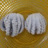 Frozen Poulp Squid  Cut IQF